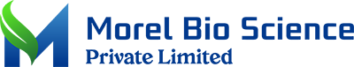 Morel Bioscience